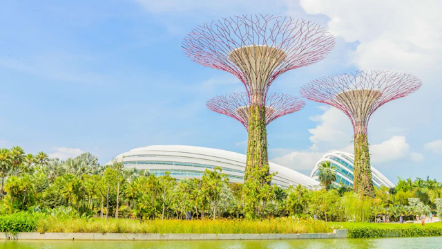 Gardens by the Bay