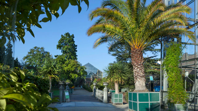 Hortus Botanicus de Leyde