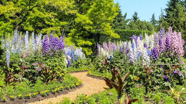 Jardin botanique VanDusen