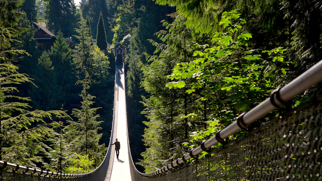 Parc du pont suspendu de Capilano