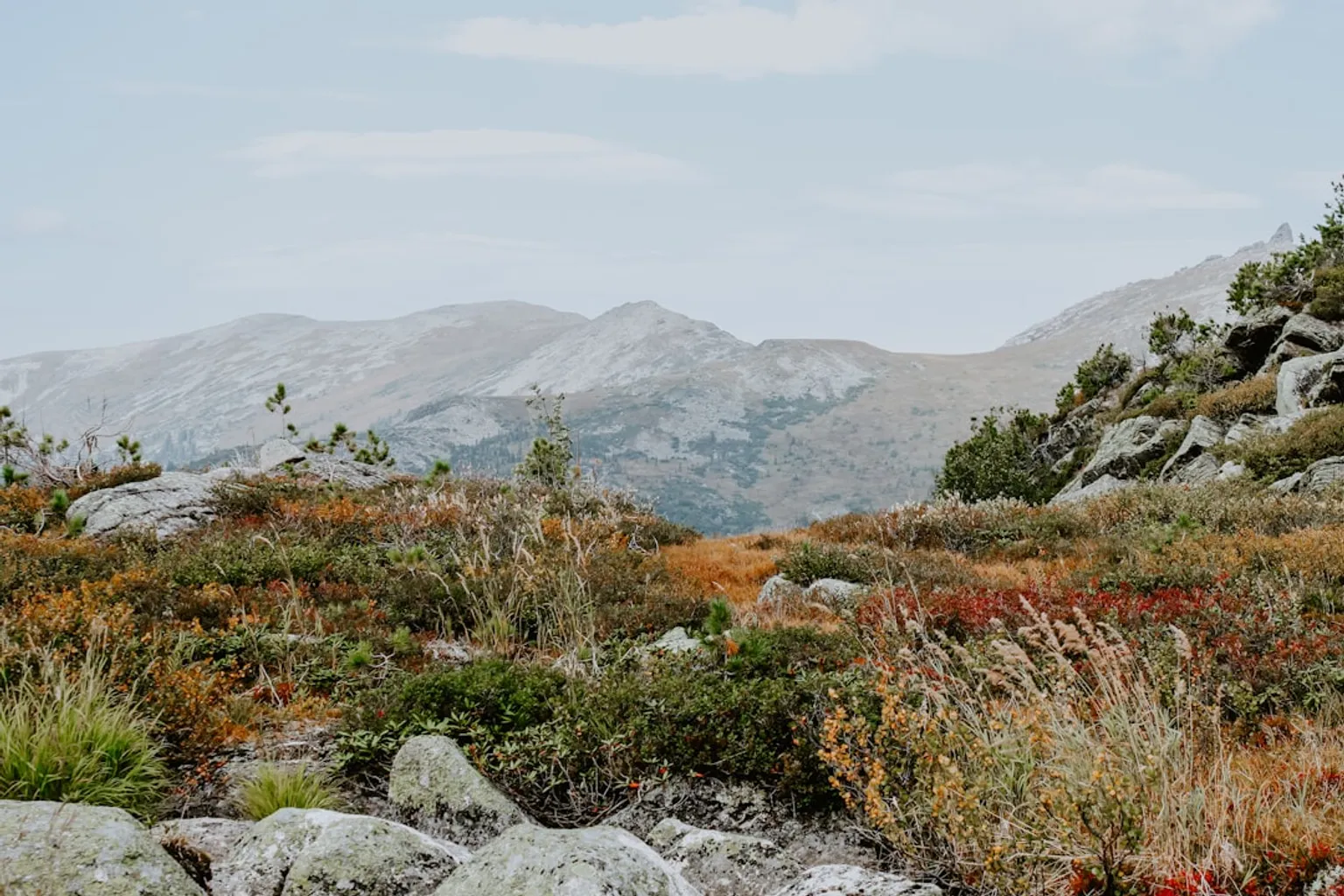Billets Wildlands : l'erreur de panier vide lors de l'achat